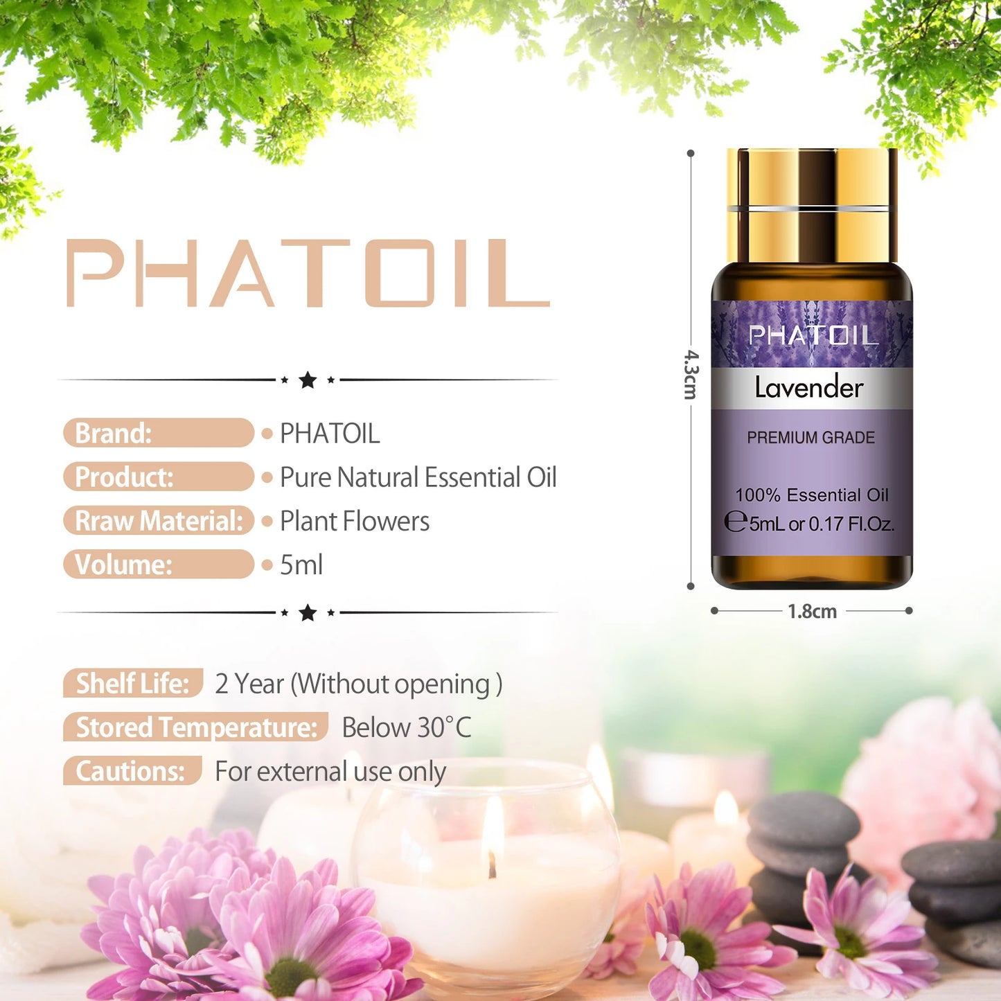 PHATOIL 15pcs Essential Oils Set Natural Plant Aroma Essential Oils Diffuser Eucalyptus Vanilla Mint Lavender Rose Tea Tree Oil