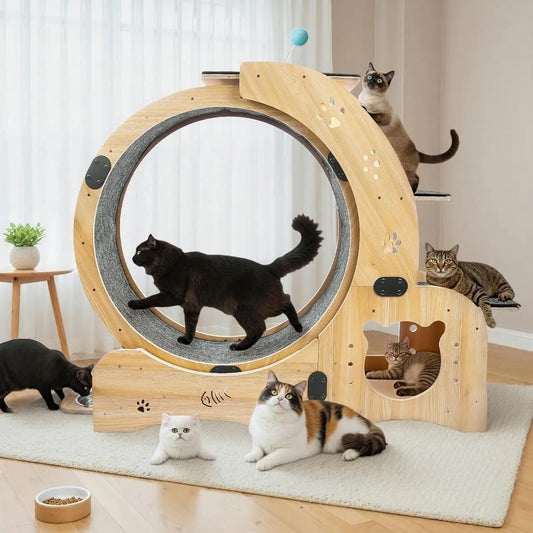 HUANZHUANG Multifunctional Cat Exerciser Wheel With Plush PetBed Scratching Board