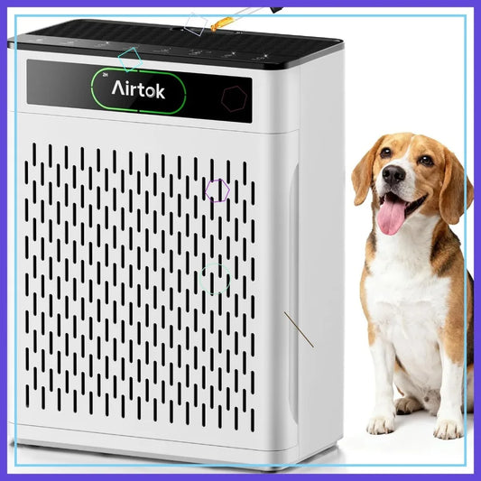 Room Air Purifier For Home And Office HEPA Auto Sleep